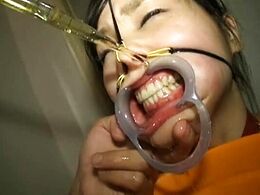 Watch Japanese Women Being Tortured