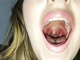 The Tour Of The Mouth Is Done With Pleasure