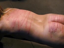 Tied To The Bench And Whipped