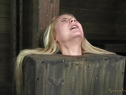 Trapped in a box to receive a lot of blowjob