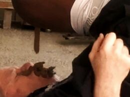 Loser's 4 Course Meal Shit Piss Spit & Cum