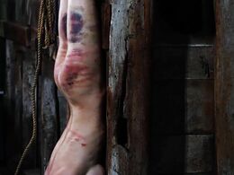 A slave cunt is strung up by her heels & brutally bullwhipped