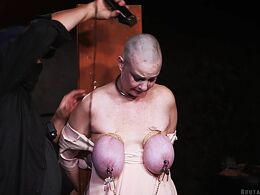 A big uddered piece of slave meat has her head shaved & udders beaten to welts