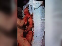 Viktoria the 24th Michel and female Russian trafficker sex murder porn star Gore